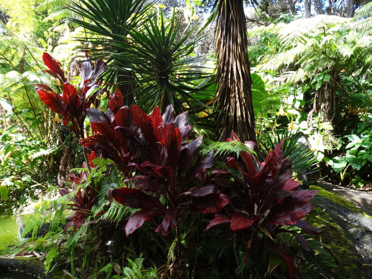 基拉韦厄集团山林小屋 沃尔卡诺 外观 照片