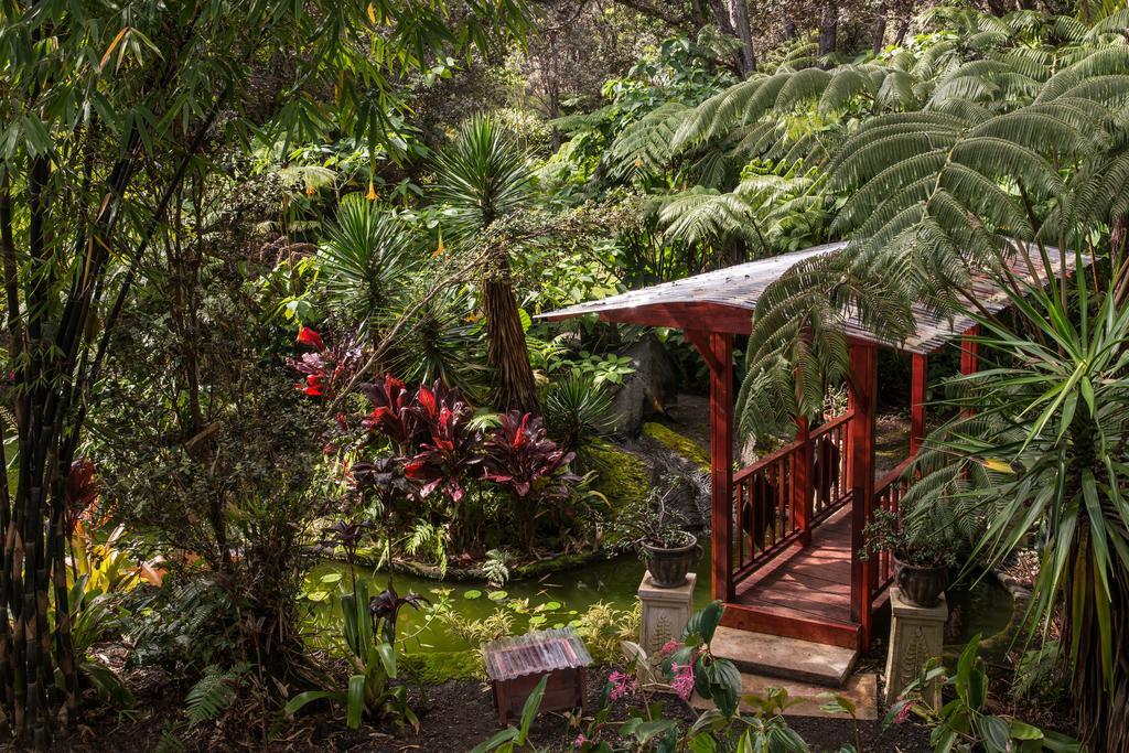 基拉韦厄集团山林小屋 沃尔卡诺 外观 照片